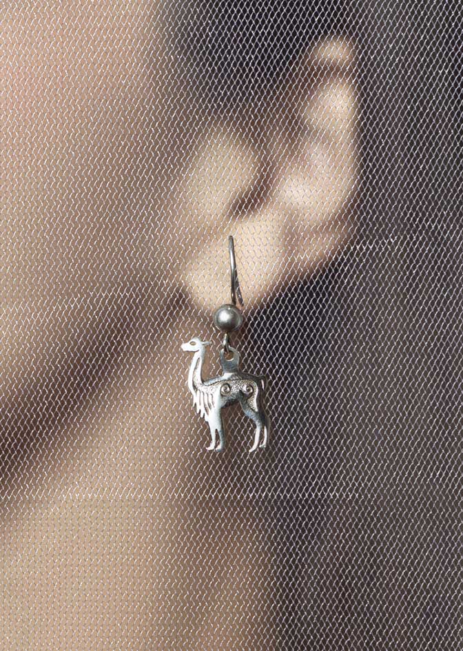 Arete Vicuña