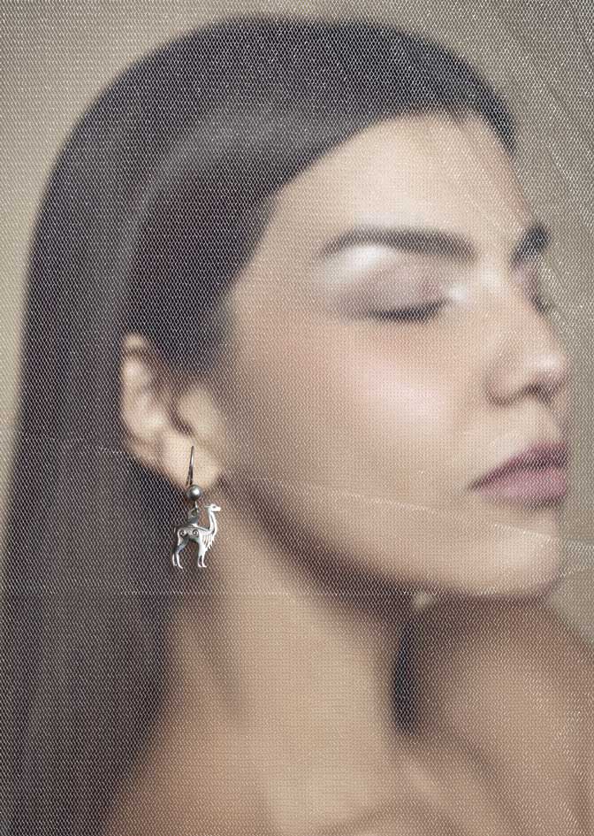 Arete Vicuña
